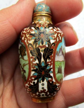 Chinese Qing Dynasty Antique Cloisonné Snuff Bottle - 4