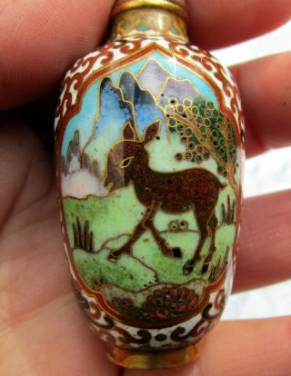 Chinese Qing Dynasty Antique Cloisonné Snuff Bottle - 5