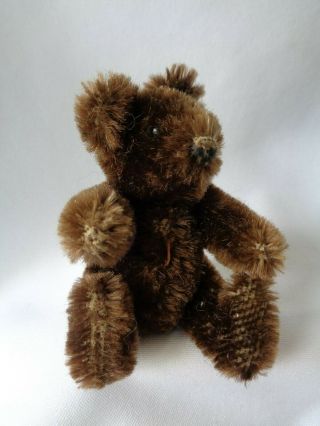 Vintage Steiff Miniature Teddy Bear Baby Jointed 3.  5 " Chocolate Brown No Tag