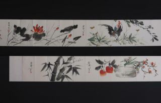 Rare Antique Chinese Hand - Painting Scroll Wang Xuetao Marked - With Cock