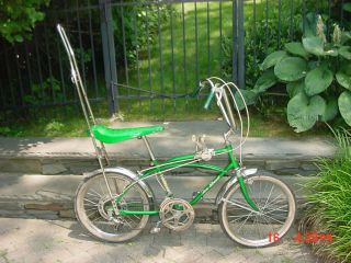 Vintage Ross 10 Speed Stingray Krate Bike Bicycle Rare Schwinn Style