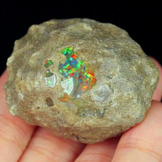 198ct Natural Ethiopian Crystal Black Opal Play Of Color Rough Specimen Ysjg871