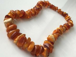 RARE Natural Antique Baltic Vintage Amber OLD BUTTERSCOTCH BEADS Necklace 79 gr 4