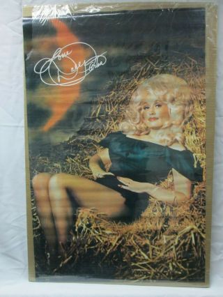 Dolly Parton Singer Vintage Poster Garage 1979 Cng29