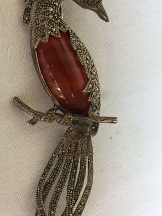 Vintage Sterling Silver 925 Marcasite Amber Peacock Brooch Pendant 7