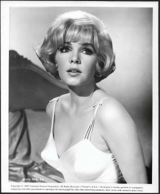 Mod Sexy Pin - Up Stella Stevens How To Save A Marriage Vintage 1967 Photograph