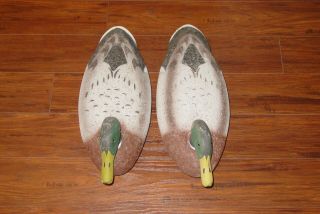 L.  L.  Bean Mallard Drake Cork Duck Decoys Quantity Two