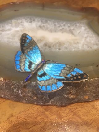 Vintage 1920s 1930s Art Deco Stunning Blue Enamel Butterfly Bug Brooch Pin 3