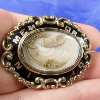 Antique Rolled Gold & Enamel In Memory Of Photo/hair Mourning Locket Brooch