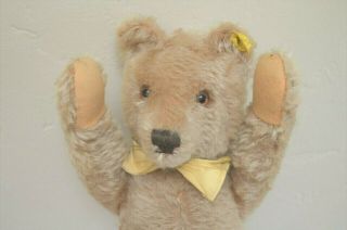 Steiff Teddy Bear Rare 2 Id 