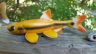 Deluxe Minnow Fish Decoy Carved By John Laska - Collect Or Great Worker