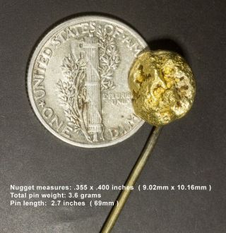✅ Antique 3.  6 Gram Natural N.  California Placer Gold Nugget Stick Pin.  Wow