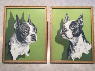 Vintage Boston Terrier Dog Paint By Numbers Painting Picture Set 1960’s Antique