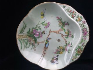 Antique 19th.  Century Chinese Famille Rose Celadon Ground Porcelain Bowl