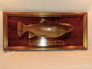 Large Vintage Fly Fishing Lure Trout Advertising Sign Greenwell Glory Lure