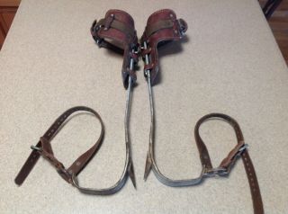 Vtg Buckingham Bell Systems Lineman Pole Tree Climbing Spikes And Utility Belts