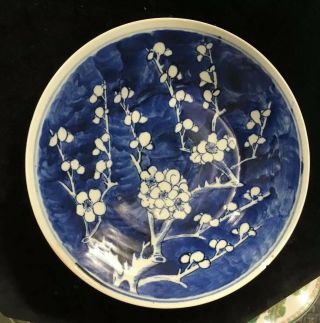 Antique Chinese Blue & White Porcelain Prunus Dish 19 C