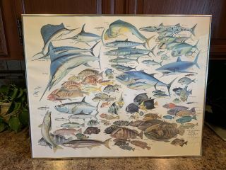 Vintage Print,  " 101 Fish Of The South Atlantic,  " Signed By Russ Smiley