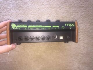 Moog Minitaur Analog Bass Synthesizer - RARE GREEN VER.  W/ Wood Paneling On Sides 2
