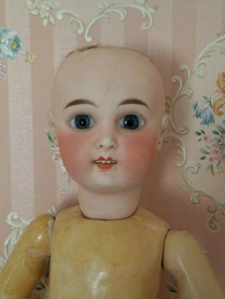 Antique 16 " French Bisque Doll Henry Ulhenhuth Cie Jumeau Sfbj Clover Mark