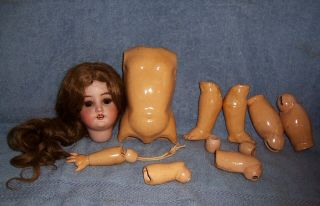 19 " Antique German Bisque Doll Simon & Halbig Parts/restore Human Hair Wig