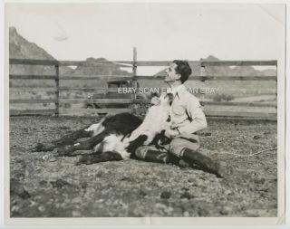 Phillips Holmes Steer Roping In Arizona Vintage Candid Photo 1933