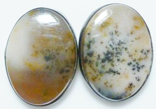 Dendritic Moss Agate Antique Deco Sterling Silver Heavy Old Clip Earrings Pair