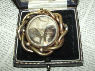 Antique c1850 PRINCE OF WALES CURL MOURNING VICTORIAN HAIR Swivel Brooch (J277) 4