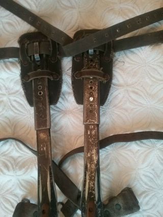 Set Vintage Adjustable Pole or Tree Climbing Spurs Spikes Gaffs Century Tool Co. 7