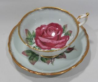Rare Paragon Floating Dark Red Cabbage Rose Cup & Saucer Artist Signed Cond