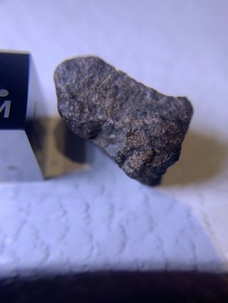 Meteorite Nwa 3133 (ach - Prim) 2.  49 Grams; Cv7 Rare