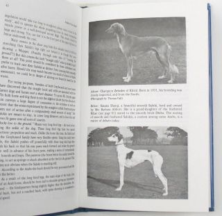 RARE Vintage Dog Book SALUKI COMPANION OF KINGS Enlarged 3rd Edition 2