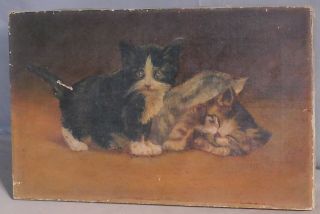 Antique Folk Art Oil Painting 2 Cats Kittens 1800’s Faces To Restore Primitive