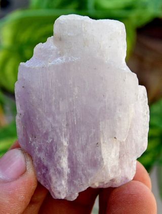 170.  0 CT Very Rare Top Quality Natural Purple Color Kunzite Crystal 2