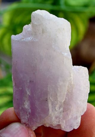 170.  0 CT Very Rare Top Quality Natural Purple Color Kunzite Crystal 3