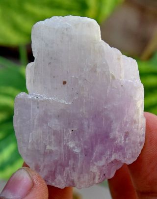 170.  0 CT Very Rare Top Quality Natural Purple Color Kunzite Crystal 5
