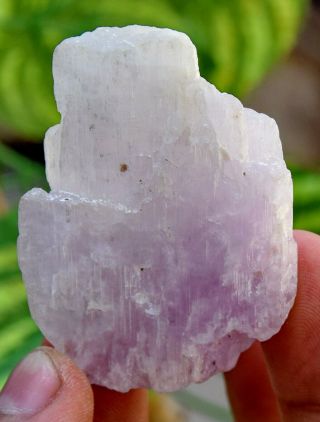 170.  0 CT Very Rare Top Quality Natural Purple Color Kunzite Crystal 6