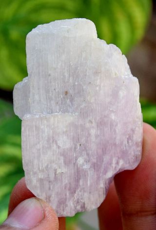 170.  0 CT Very Rare Top Quality Natural Purple Color Kunzite Crystal 7