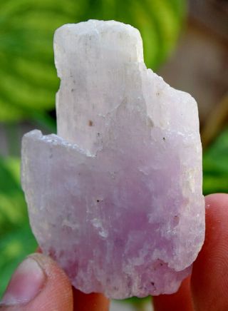 170.  0 CT Very Rare Top Quality Natural Purple Color Kunzite Crystal 8