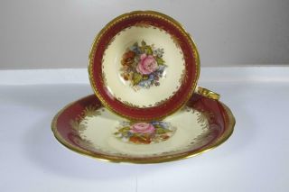 Vintage Anysley J.  A.  Bailey Rose & Floral Bouquet Cup Saucer Burgundy Background