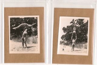 Gay: Vintage 1950s Semi - Nude Male Physique Contact Photoset Nature Acrobats M1