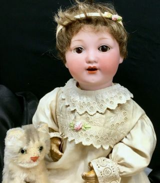 Rare 13 " Otto Gans 945 - Cabinet Baby Doll - C.  1920 Antique Bisque - Head German