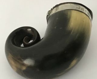 Antique Georgian Scottish Rams Horn Snuff Mull With Silver Thistle Mount @ 1820 4
