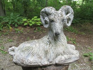 Vintage 17 " Long Cement Ram Mountain Goat Sheep Weathered Paint Concrete Statue
