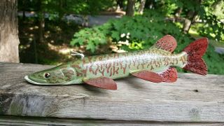 Competition Muskie Fish Decoy Carved By Austin Philips - Ice Spearing Lure