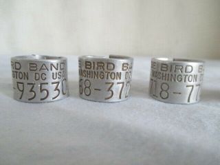 5 Avise Bird Bands Washington D.  C.  Vintage Hunting Duck/Goose 4