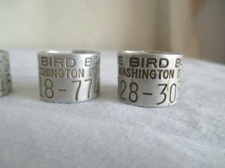 5 Avise Bird Bands Washington D.  C.  Vintage Hunting Duck/Goose 5