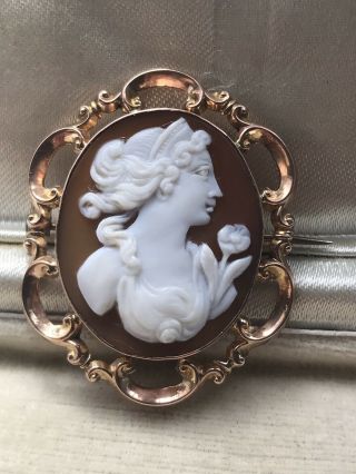 Antique Victorian/edwardian Italian 9ct Gold Carved Shell Cameo Brooch