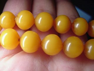 Rich Butterscotch Egg Yolk Baltic Amber Beads Necklace 62 Grams 11mm 66 Beads