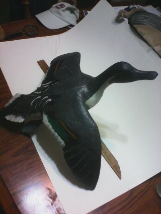 Hand Carved Painted Pintail Drake Flying Wood Duck Decoy Casey Edwards